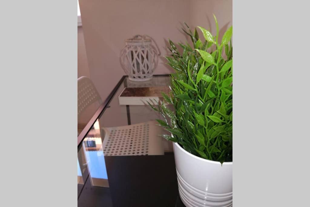 Trastevere House Apartamento